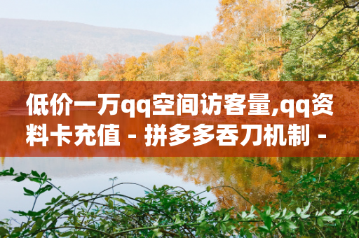 低价一万qq空间访客量,qq资料卡充值 - 拼多多吞刀机制 - 拼多多月营收-第1张图片-靖非智能科技传媒