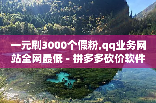 一元刷3000个假粉,qq业务网站全网最低 - 拼多多砍价软件代砍平台 - 闲鱼特卖助力