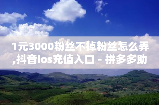 1元3000粉丝不掉粉丝怎么弄,抖音ios充值入口 - 拼多多助力网站便宜 - 商家版拼多多网页版