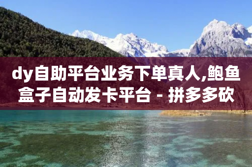 dy自助平台业务下单真人,鲍鱼盒子自动发卡平台 - 拼多多砍价有几个阶段 - 微信帮忙砍一刀怎么砍-第1张图片-靖非智能科技传媒