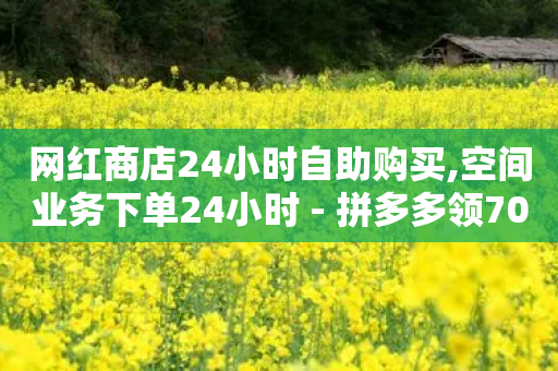 网红商店24小时自助购买,空间业务下单24小时 - 拼多多领700元全过程 - 做了半个月跨境电商不想干了-第1张图片-靖非智能科技传媒