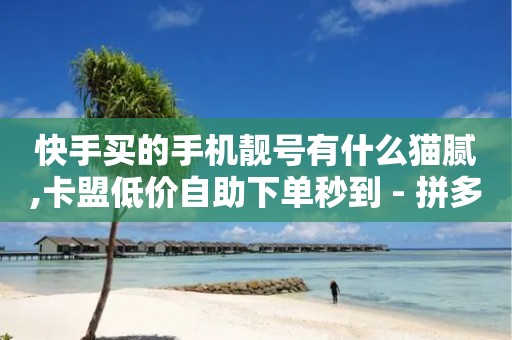 快手买的手机靓号有什么猫腻,卡盟低价自助下单秒到 - 拼多多帮助力 - 拼多多助力买刀能成功吗-第1张图片-靖非智能科技传媒