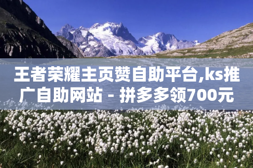 王者荣耀主页赞自助平台,ks推广自助网站 - 拼多多领700元全过程 - 抖音极速版助力平台有哪些-第1张图片-靖非智能科技传媒