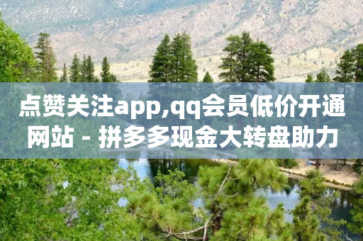 点赞关注app,qq会员低价开通网站 - 拼多多现金大转盘助力50元 - 拼多多白嫖微信群