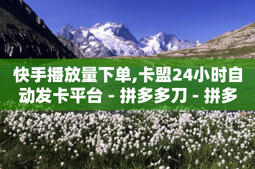 快手播放量下单,卡盟24小时自动发卡平台 - 拼多多刀 - 拼多多行业生命周期分析