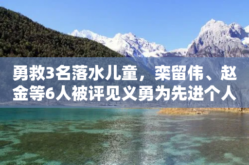 勇救3名落水儿童，栾留伟、赵金等6人被评见义勇为先进个人-第1张图片-靖非智能科技传媒