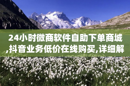 24小时微商软件自助下单商城,抖音业务低价在线购买,详细解答解释落实 _ iPhone34.2.128-第1张图片-靖非智能科技传媒