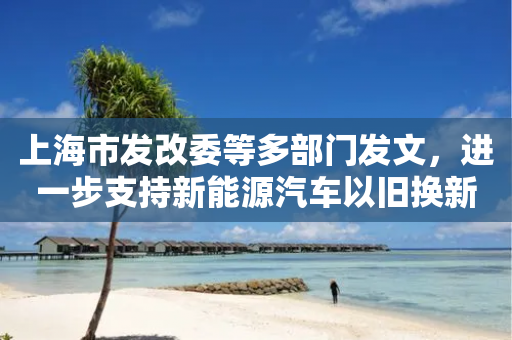 上海市发改委等多部门发文，进一步支持新能源汽车以旧换新-第1张图片-靖非智能科技传媒