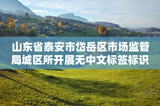 山东省泰安市岱岳区市场监管局城区所开展无中文标签标识食品专项检查-第1张图片-靖非智能科技传媒