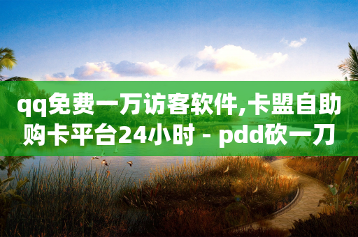 qq免费一万访客软件,卡盟自助购卡平台24小时 - pdd砍一刀助力助力平台官网 - 拼多多助力出卖信息-第1张图片-靖非智能科技传媒