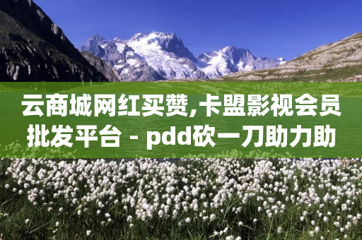 云商城网红买赞,卡盟影视会员批发平台 - pdd砍一刀助力助力平台官网 - 拼多多金币碎片之后是什么