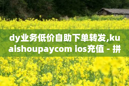 dy业务低价自助下单转发,kuaishoupaycom ios充值 - 拼多多免费助力网站入口 - 24小时自助下单商城下载