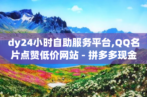 dy24小时自助服务平台,QQ名片点赞低价网站 - 拼多多现金大转盘刷助力网站免费 - 拼多多平台电话投诉电话-第1张图片-靖非智能科技传媒