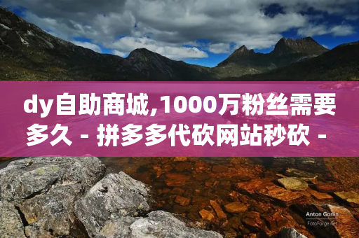 dy自助商城,1000万粉丝需要多久 - 拼多多代砍网站秒砍 - 拼多多买人助力会变难吗-第1张图片-靖非智能科技传媒