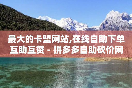 最大的卡盟网站,在线自助下单互助互赞 - 拼多多自助砍价网站 - 天兔网络平台在线下单-第1张图片-靖非智能科技传媒