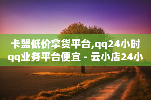 卡盟低价拿货平台,qq24小时qq业务平台便宜 - 云小店24小时自助下单 - 小号批发自动发货网站