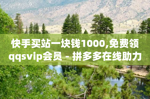 快手买站一块钱1000,免费领qqsvip会员 - 拼多多在线助力网站 - 拼多多20元最后一分钱要多少金币