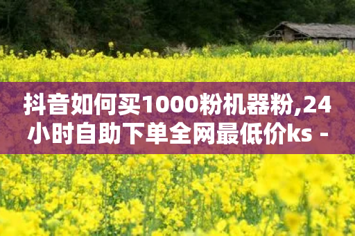 抖音如何买1000粉机器粉,24小时自助下单全网最低价ks - 拼多多业务自助平台 - 批量下单