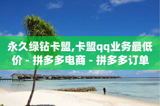 永久绿钻卡盟,卡盟qq业务最低价 - 拼多多电商 - 拼多多订单绑定支付宝账号-第1张图片-靖非智能科技传媒