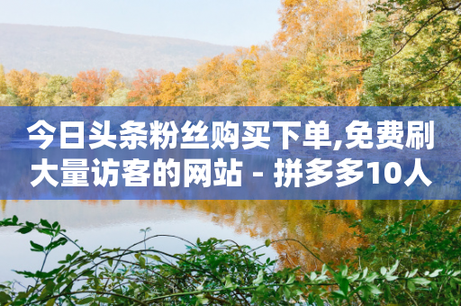 今日头条粉丝购买下单,免费刷大量访客的网站 - 拼多多10人助力 - 运费险脚本-第1张图片-靖非智能科技传媒