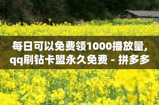 每日可以免费领1000播放量,qq刷钻卡盟永久免费 - 拼多多助力一元十刀怎么弄 - 云小店拼多多助力