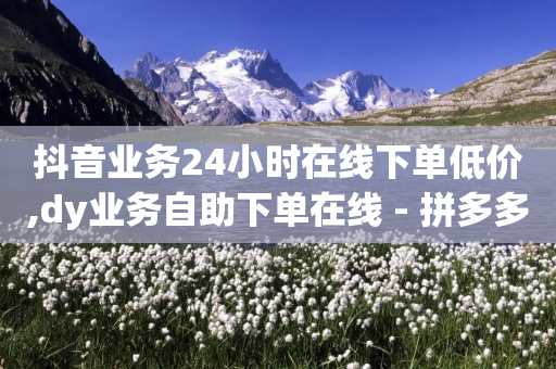 抖音业务24小时在线下单低价,dy业务自助下单在线 - 拼多多1元10刀助力平台 - 24小时砍价助力网-第1张图片-靖非智能科技传媒