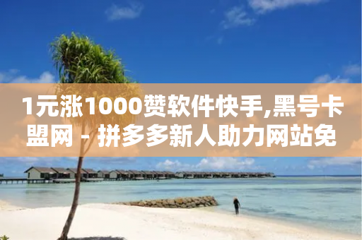 1元涨1000赞软件快手,黑号卡盟网 - 拼多多新人助力网站免费 - 拼多多助力700元有多少提现-第1张图片-靖非智能科技传媒