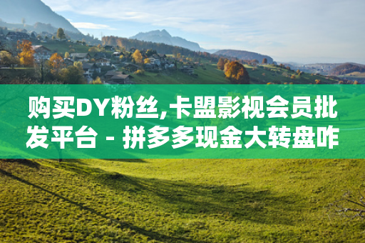 购买DY粉丝,卡盟影视会员批发平台 - 拼多多现金大转盘咋才能成功 - 12345可以转接拼多多客服吗-第1张图片-靖非智能科技传媒