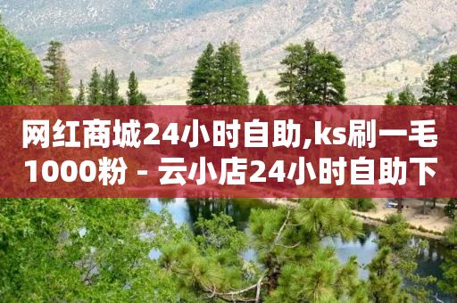 网红商城24小时自助,ks刷一毛1000粉 - 云小店24小时自助下单 - 拼多多砍价吞刀怎么办-第1张图片-靖非智能科技传媒