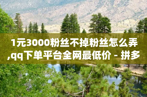 1元3000粉丝不掉粉丝怎么弄,qq下单平台全网最低价 - 拼多多砍价黑科技软件 - 怎么助力别人