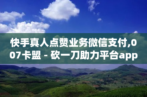 快手真人点赞业务微信支付,007卡盟 - 砍一刀助力平台app - 拼多多查看是否助力别人成功-第1张图片-靖非智能科技传媒