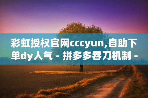 彩虹授权官网cccyun,自助下单dy人气 - 拼多多吞刀机制 - 拼多多200元提现全过程