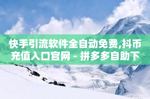 快手引流软件全自动免费,抖币充值入口官网 - 拼多多自助下单全网最便宜 - 拼多多用脚本下单的步骤详解-第1张图片-靖非智能科技传媒