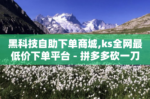 黑科技自助下单商城,ks全网最低价下单平台 - 拼多多砍一刀助力平台网站 - 彩虹云官网-第1张图片-靖非智能科技传媒