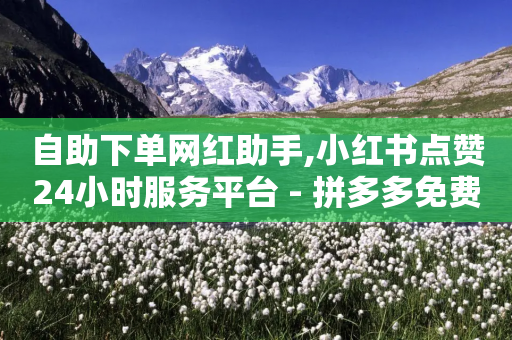 自助下单网红助手,小红书点赞24小时服务平台 - 拼多多免费领商品助力 - 拼多多怎么拿免费商品