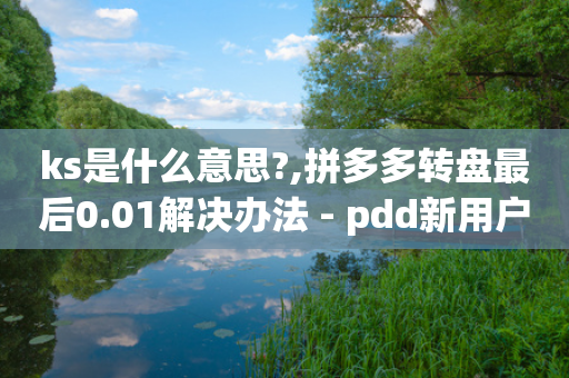 ks是什么意思?,拼多多转盘最后0.01解决办法 - pdd新用户助力网站 - 拼多多助力平台推荐-第1张图片-靖非智能科技传媒