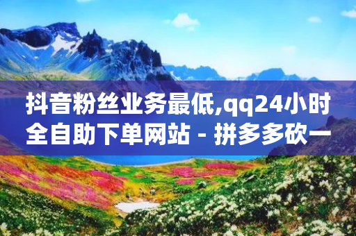 抖音粉丝业务最低,qq24小时全自助下单网站 - 拼多多砍一刀 - 免费的拼多多砍一刀赏金软件-第1张图片-靖非智能科技传媒