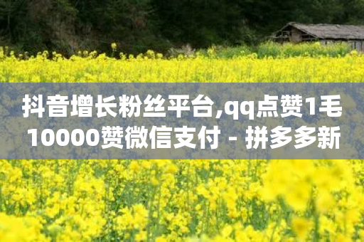 抖音增长粉丝平台,qq点赞1毛10000赞微信支付 - 拼多多新人助力网站 - 拼多多刷销量正规方法-第1张图片-靖非智能科技传媒