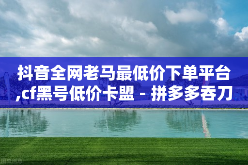 抖音全网老马最低价下单平台,cf黑号低价卡盟 - 拼多多吞刀机制 - 福卡元宝积分-第1张图片-靖非智能科技传媒