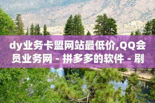 dy业务卡盟网站最低价,QQ会员业务网 - 拼多多的软件 - 刷刀软件-第1张图片-靖非智能科技传媒