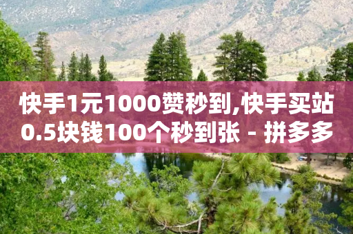 快手1元1000赞秒到,快手买站0.5块钱100个秒到张 - 拼多多免费领商品助力 - 现金大转盘助力能助力几次