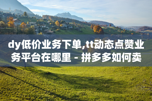 dy低价业务下单,tt动态点赞业务平台在哪里 - 拼多多如何卖助力 - 拼多多自助平台在哪-第1张图片-靖非智能科技传媒