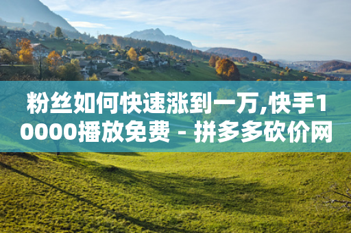 粉丝如何快速涨到一万,快手10000播放免费 - 拼多多砍价网站一元10刀 - 拼多多推金币助力是诈骗吗-第1张图片-靖非智能科技传媒