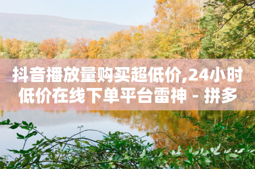 抖音播放量购买超低价,24小时低价在线下单平台雷神 - 拼多多扫码助力群 - 拼多多运营方法和技巧