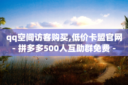 qq空间访客购买,低价卡盟官网 - 拼多多500人互助群免费 - ks双击业务24小时-第1张图片-靖非智能科技传媒