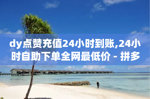 dy点赞充值24小时到账,24小时自助下单全网最低价 - 拼多多互助平台 - 拼多多免拉人提现是真的吗-第1张图片-靖非智能科技传媒