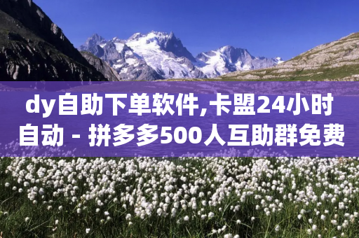 dy自助下单软件,卡盟24小时自动 - 拼多多500人互助群免费 - 拼多多站外引流怎么做-第1张图片-靖非智能科技传媒