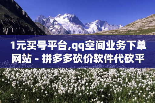 1元买号平台,qq空间业务下单网站 - 拼多多砍价软件代砍平台 - 拼多多0.01个元宝不动了-第1张图片-靖非智能科技传媒