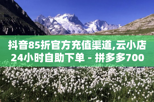 抖音85折官方充值渠道,云小店24小时自助下单 - 拼多多700集齐了差兑换卡 - 拼多多拍单软件