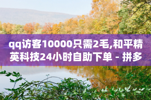 qq访客10000只需2毛,和平精英科技24小时自助下单 - 拼多多现金大转盘助力 - 吐槽拼多多助力的段子-第1张图片-靖非智能科技传媒